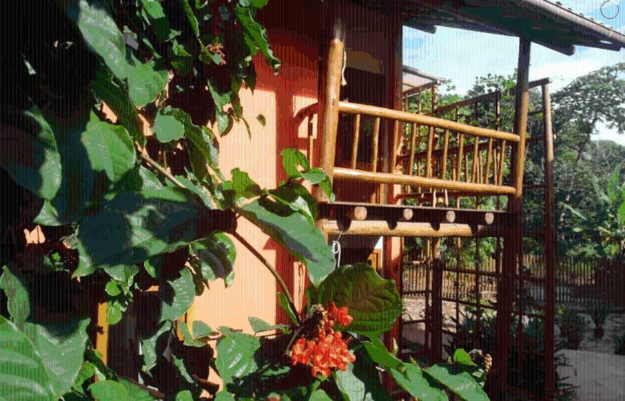 Concha Tropical Flat Lägenhet Itacaré Exteriör bild