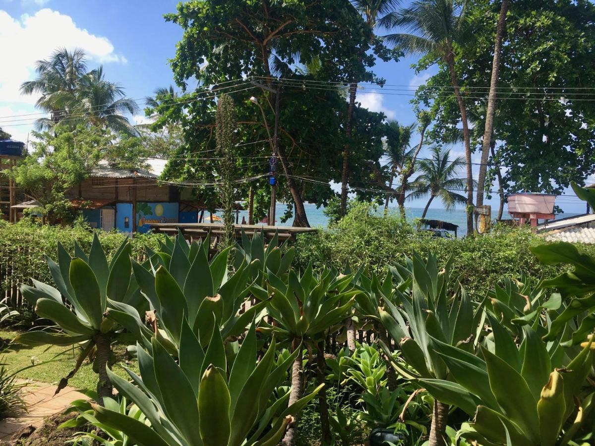 Concha Tropical Flat Lägenhet Itacaré Exteriör bild